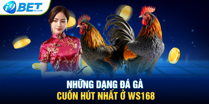 Những dạng đá gà cuốn hút nhất ở WS168