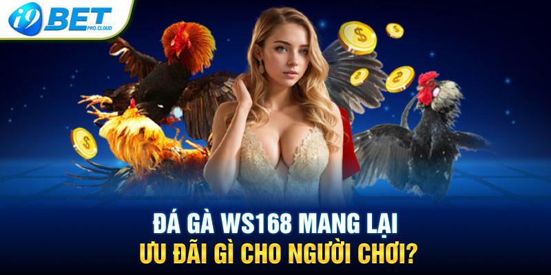 Đá gà WS168 mang lại ưu đãi gì cho người chơi?