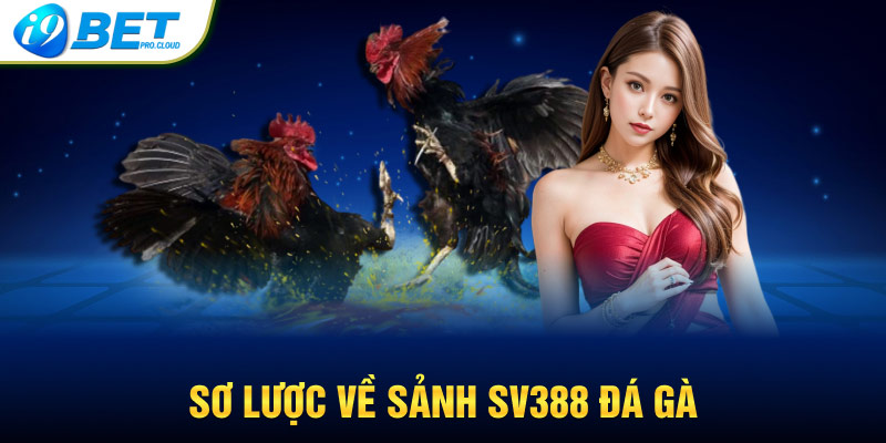 Sơ lược về sảnh SV388 đá gà